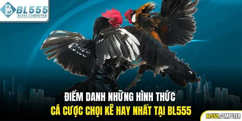 Điểm danh những hình thức cá cược chọi kê hay nhất tại BL555