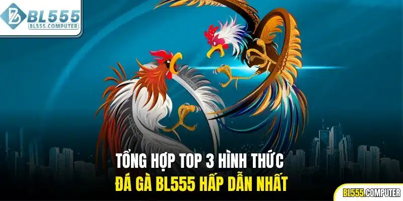 Tổng hợp top 3 hình thức đá gà BL555 hấp dẫn nhất
